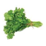 Coriander (Dhana) 250 GM