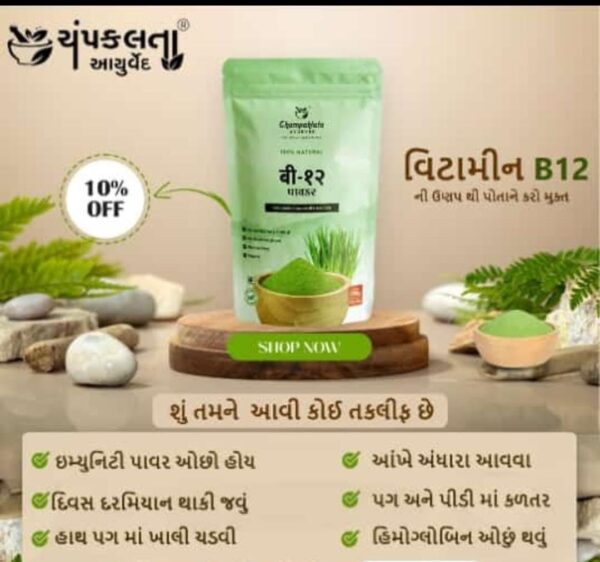 B-12 POWDER