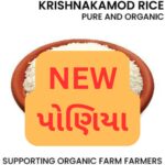 (NEW) Krishna Kamod Rice – Premium Organic Rice 1 KG-પોણિયા